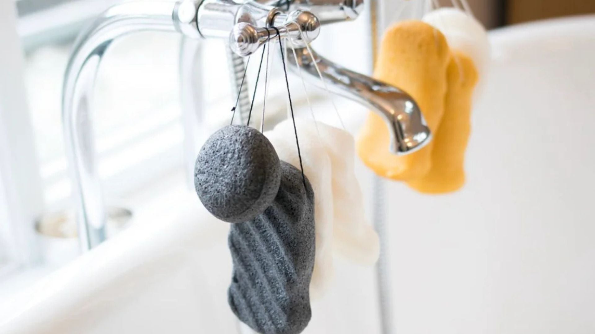 best body and face sponge