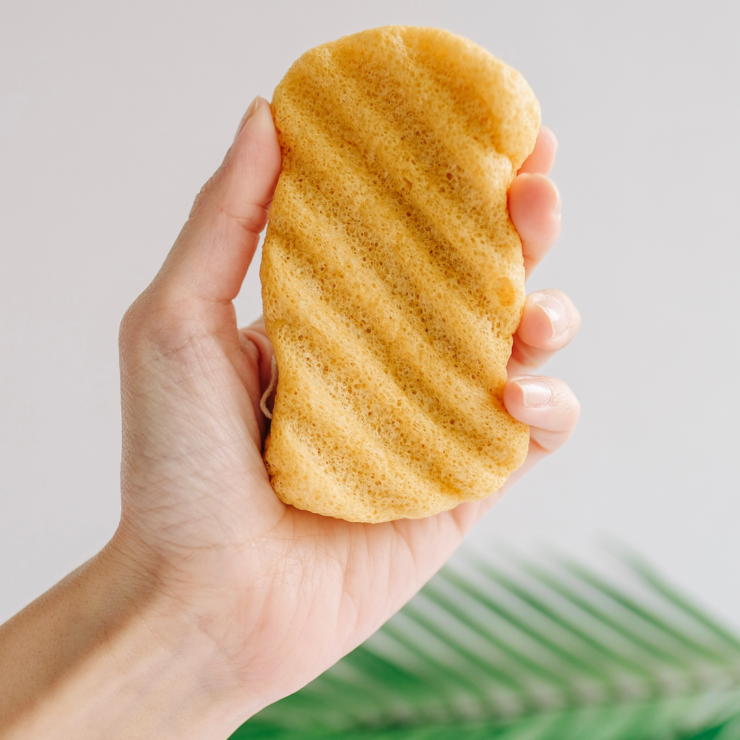 turmeric body sponge