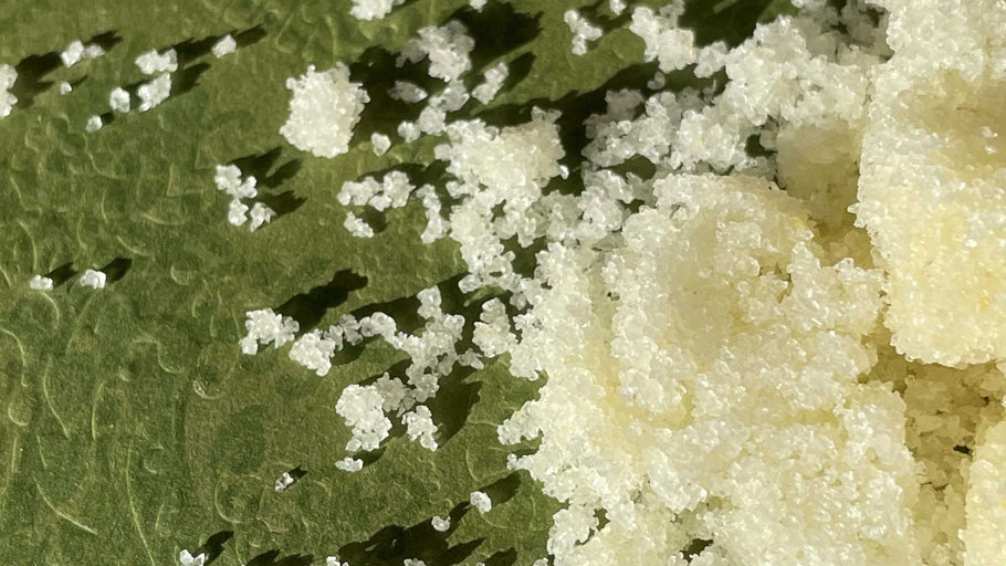Scrub vs. Polish: Best Exfoliator Body Scrub For Self-Care